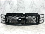 2023-2024 Ford F-250 F-350 Super Duty Grille Oem Front PC3B-8200-GHSMA4. Fixed Price $610.00.