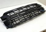 Takeoff 2024 2025 Original Ford F150 Raptor Grille W/letter +led. Fixed Price $448.99.