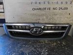 08 09 Hyundai Entourage Front Grille 2007-2010. Fixed Price $249.99.