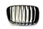 Oem 2018-2020 Bmw X3 G01 Kidney Grille Right Front 8091726. Fixed Price $79.00.