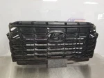 2024 Hyundai Palisade Limited Upper Grille Black With Camera. Fixed Price $686.38.