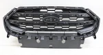 New Oem Ford Radiator Center Grille Insert GN1Z-17B968-AB Ecosport 2018. Fixed Price $78.35.