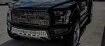 2017-2018 Ford Raptor Front Lower Grille Replacement Polished Brushed. Fixed Price $464.36.
