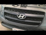 Grille Without Chrome Surround Fits 07-09 Santa Fe 693969. Fixed Price $139.90.