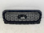 2021-2023 Ford F-150 F150 Stx Front Center Upper Radiator Grille Blue Oem. Fixed Price $515.00.