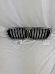 Oem 2015-2017 Bmw X3 Front Left & Right Bumper Kidney Grille Set. Fixed Price $39.99.