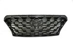 Oem 2019-2020 Hyundai Santa Fe Front Grille 86366S2110. Fixed Price $149.00.
