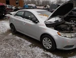 Grille Sedan Lower Ex Without Fog Lamps Center Fits 10-13 Forte 1642486. Fixed Price $230.54.