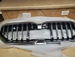 Bmw G60 I5 Grille Ziergitter 5A017A9 5A076E4. Fixed Price $175.00.