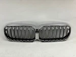 2019-2021 Bmw X1 F48 Grille Oem Silver Front Kidney W/ Camera Hole HO185178-11. Fixed Price $180.00.