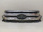 2011 2012 2013 2014 Ford Edge Front Radiator Grille Oem BT43-8A163. Fixed Price $200.00.