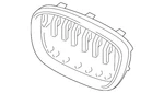 Genuine Bmw 2018-2021 X3 X4 Upper Grille 51-13-7-464-921. Fixed Price $149.84.
