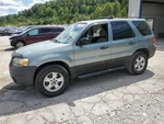 2005 Ford Escape Grille Used Oem Slv 4WD 3.0L Vin Z 3723276. Fixed Price $113.95.