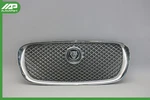 09-11 Jaguar Xfr X250 Radiator Grille Mesh Chrome W/ Logo C2Z3832 Oem. Fixed Price $150.50.