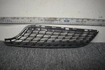 Mercedes Benz Class Front Grille Mesh Factory Oem. Fixed Price $58.44.
