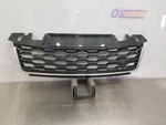 19 Range Rover Sport Hse Upper Grille. Fixed Price $500.00.