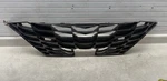 Oem 2021-2023 Hyundai Elantra Front Grille 86366-AA010 Genuine. Fixed Price $250.00.