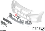 Genuine Bmw M2 G87 Cs Coupe Grid Centre 51118081270. Fixed Price $167.93.