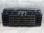 2022 2024 Hyundai Palisade Grille Assembly Oem Front Center 863B5-S8CB0. Fixed Price $500.00.
