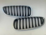 Genuine New Bmw Z4 E89 Front Kidney Grille Set 51137191509 / 51137191510. Fixed Price $269.95.