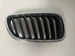 For Bmw 228I 2014-2016 Grille Driver And Passenger Side Pair Abs Plastic. Fixed Price $31.97.