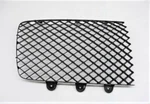 2020 Bentley Continental Gt Front Right Passenger Mesh Grille 3SD853684A Oem A1. Fixed Price $199.98.
