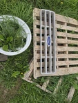 Oem Ford Truck Grille 1987 1991 F150 F250 F350 Bronco Front W/ Emblem. Fixed Price $135.00.
