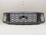 2024-2025 Ford F150 F-150 Front Radiator Grill Grile Oem RL34-8200-LC. Fixed Price $500.00.