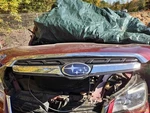 Forester 2018 Grille 2873492. Fixed Price $200.00.