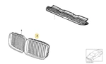 Grill Left For Bmw E-36. Fixed Price $109.95.