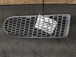 Driver Left Grille Without Fog Lamps Ends Fits 06-10 Beetle 752626. Fixed Price $79.90.