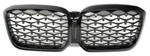 Oem Upper Grille Insert For Bmw X4 30I Shadow Line 51-13-5-A1A-C59 Gloss Black. Fixed Price $159.99.
