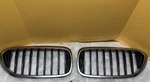 2017-2021 Bmw 5 Series Right And Left Side Grille Factory Oem. Fixed Price $100.00.