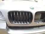 2013 X5 Upper Grille SKU#4246032. Fixed Price $95.95.