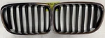 Bmw Oem Grille Set 10627110 By Gerhardi Germany. Fixed Price $65.00.