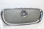 Grille Jaguar Xf 2009 2010 2011 Upper 1370849. Fixed Price $154.99.