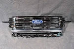 2025 2026 Ford Expedition Front Grille W/camera & Center Light Oem Platinum Lux. Fixed Price $1999.00.