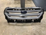 2017-2019 Ford Escape Front Radiator Grille Oem GJ54-8A164-A. Fixed Price $195.00.