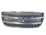 Hyundai Santa Fe 08 Front Grill E86561-2B000. Fixed Price $46.41.