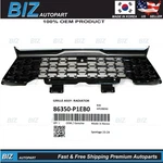Oem Radiator Grille W/ Surround View For 2023-2024 Kia Sportage 86350-P1EB0. Fixed Price $1170.00.