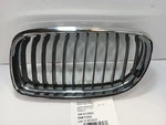2011-2013 Bmw 328I Upper Left Kidney Grille 12607857. Fixed Price $53.79.