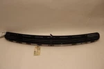 2003-2006 Mercedes S-class Front Bonnet Hood Screen Vent Grille Oem. Fixed Price $98.00.