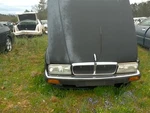Grille Excluding Vanden Plas Fits 88-94 Jaguar XJ6 Oem. Fixed Price $159.19.