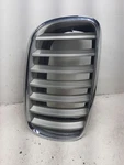 Passenger Grille Hood Titanium And Chrome Finish Fits 07-13 Bmw X5 217212. Fixed Price $169.33.
