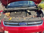 Used Upper Grille Fits: 2016 Ford Escape Titanium Grade. Fixed Price $114.86.