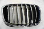 Oem 2018-2020 Bmw X3 G01 Kidney Grille Right Front 8091726. Fixed Price $79.00.