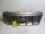 Grille Painted Fits 02 Sportage 296408. Fixed Price $79.99.