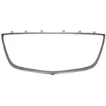 New Premium Fit Silver Front Upper Grille Molding TE69501T3A. Fixed Price $109.62.