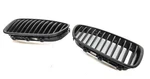 2011-2013 Bmw 528I 535I 550I M5 (F10) Front Hood Vent Grille SET-2 (black). Fixed Price $85.49.