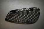 2014-2016 Mercedes Benz E250 Right Side Front Outer Grille Factory Oem. Fixed Price $48.70.